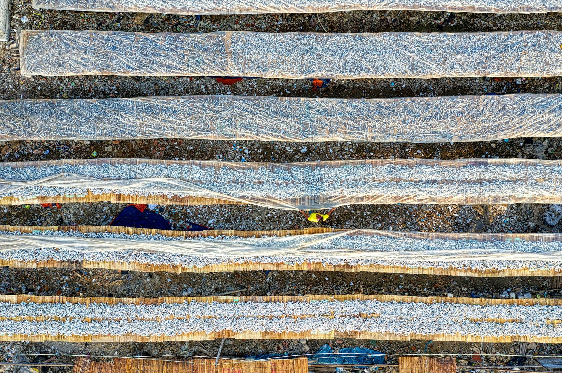 Coastal Region (Banjul, Bakau, Kololi) cuisine from Gambia