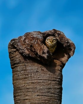 Tamil Nadu (South India) cuisine from India
