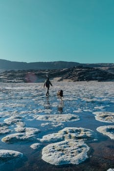 Andean Region cuisine from Colombia