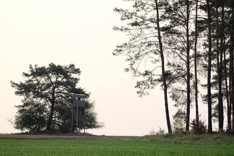 Maseru (Capital Lowlands) cuisine from Lesotho