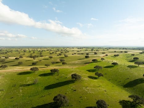 Alentejo cuisine from Portugal