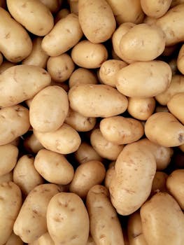 Stoemp (Mashed Potatoes with Vegetables)