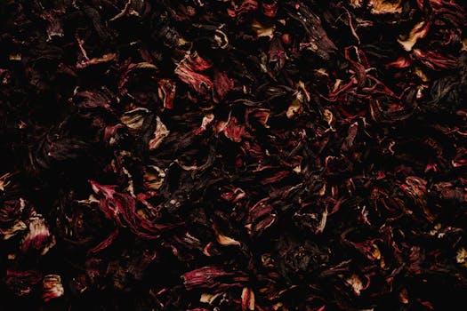 Hibiscus Tea