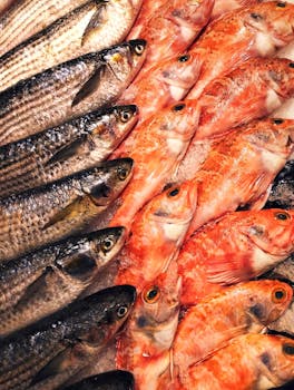 Caldo de Peixe (Fish Stew)