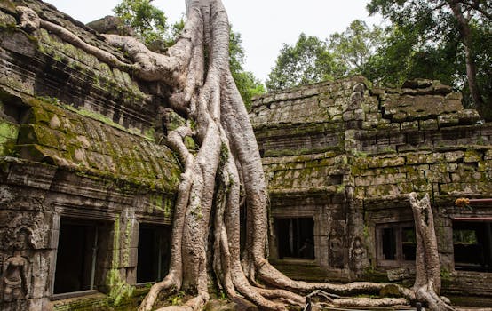 Siem Reap cuisine from Cambodia