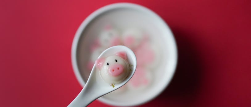 汤圆 (Tāngyuán) - Glutinous Rice Balls