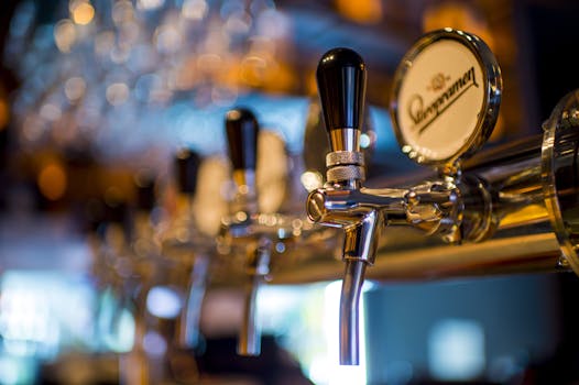Cerveza (Beer)