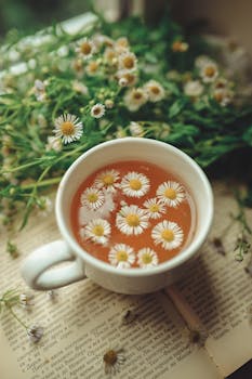 Bylinkový čaj (Herbal Tea)