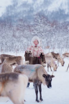 Lapland cuisine from Finland