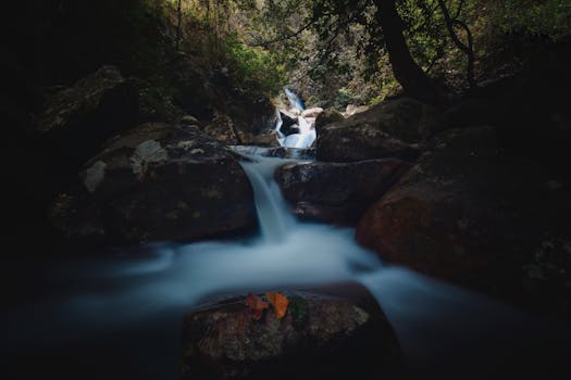 Eau (Water)