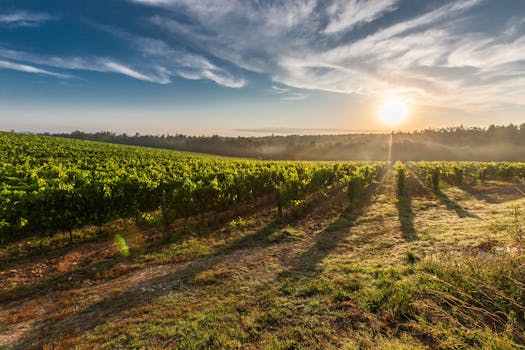 Tuscany cuisine from Italy