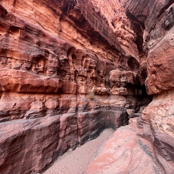 Petra and Wadi Rum cuisine from Jordan