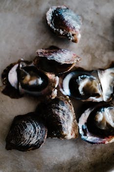 Coastal Swahili Cuisine cuisine from Kenya