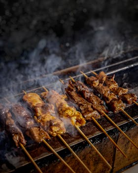 Satay (Grilled Skewered Meat)