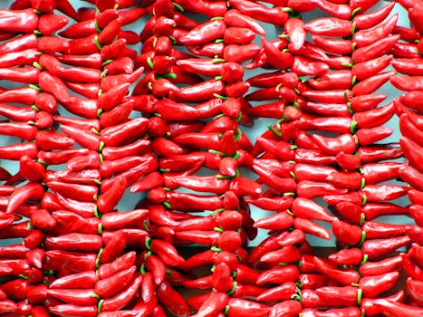 Gateau Piment (Chili Cakes)