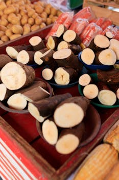 Carimañolas (Yucca Fritters)