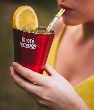 Tereré (Cold Yerba Mate)