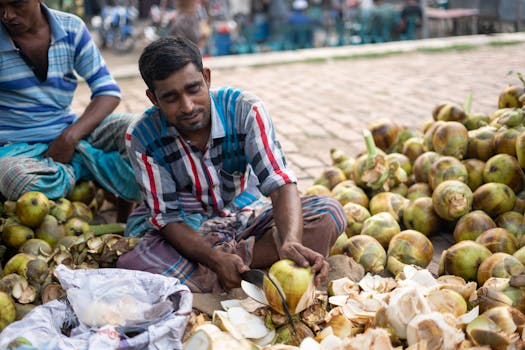 Toddy (රා)