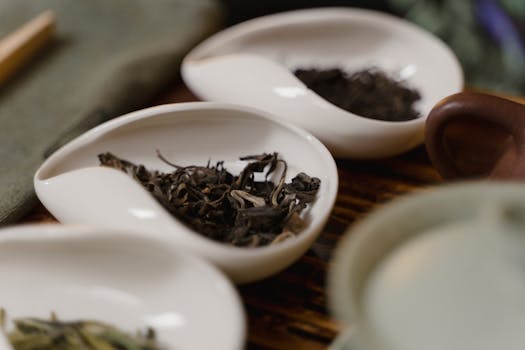Oolong Tea (烏龍茶 wūlóng chá)