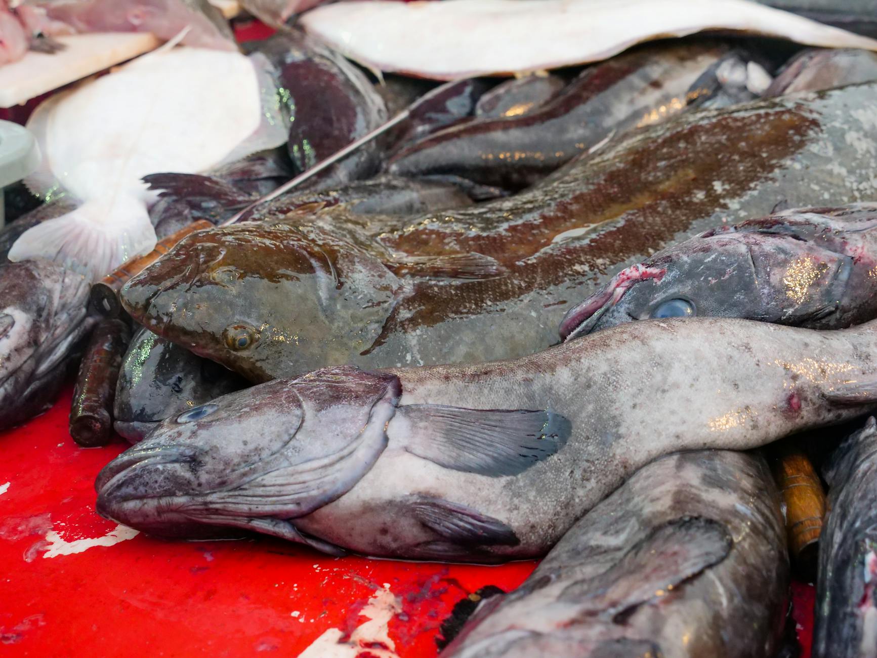 Coastal Region cuisine from Uruguay